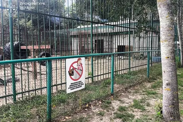 Хто фігурує у справі про напад левиці на хлопчика у Котельві