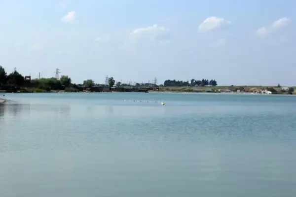 Близько трьох тонн риби загинуло у трьох водоймах Борщагівської громади
