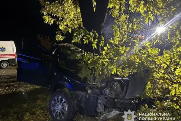 Аварія поблизу Черника: відомі ролі учасників і хід розслідування