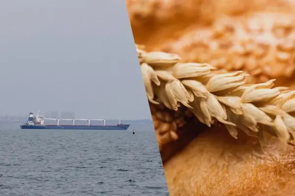 Україна поновлює морський експорт зерна: чому це важливо для читача
